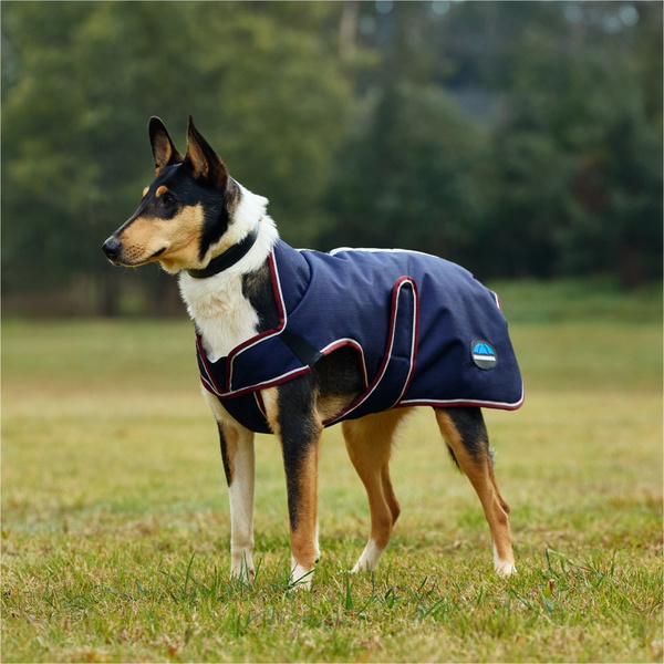 2025 Weatherbeeta Comfitec Premier Deluxe Waterproof Dog Coat 1028800 - Navy